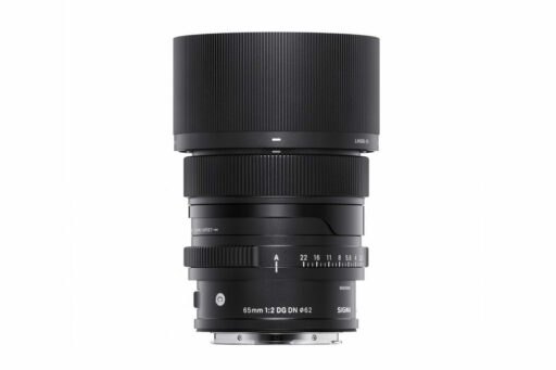 Sigma 65/2 C DG DN